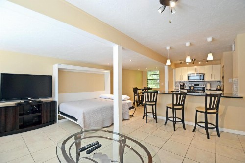 Siesta Key Beach - Tropea 665 #4 - image 8