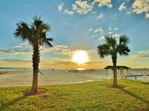 Siesta Key Beach 5830 #T34 - image 21