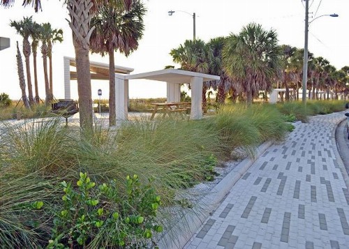 Siesta Key Beach 5515 - image 10