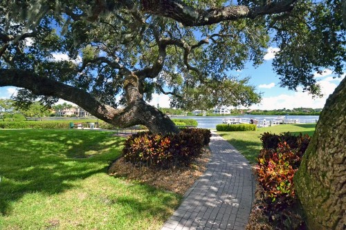Bay Oaks - 6157 #E01 - image 3