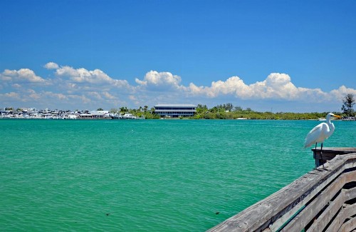 Siesta Key - Miramar 1216 - image 35