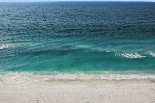 White Sands Near the Beach - image 24