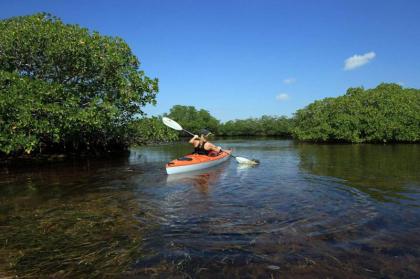 Palm Bay Gulf Side - image 6