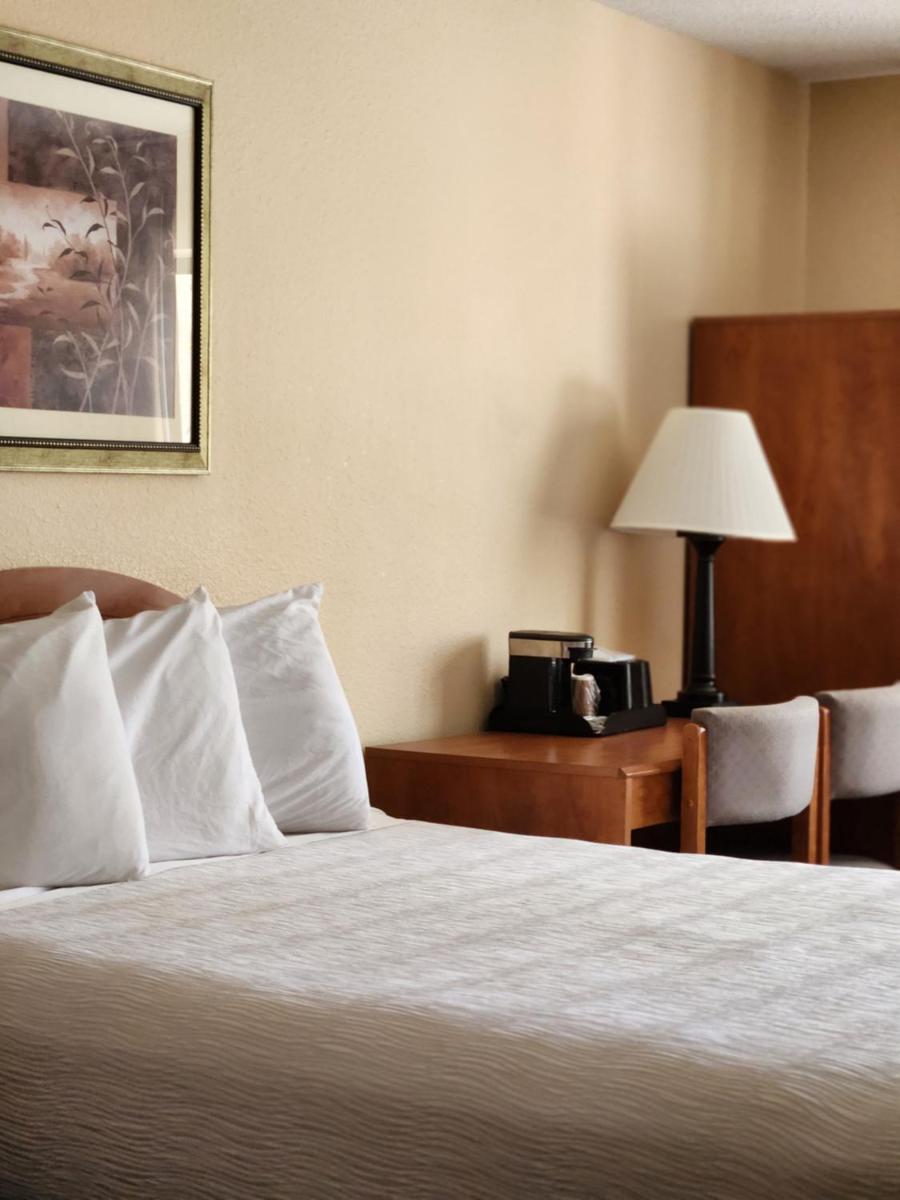 Luxury Inn & Suites - main image