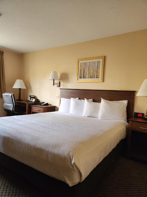 Luxury Inn & Suites - image 13