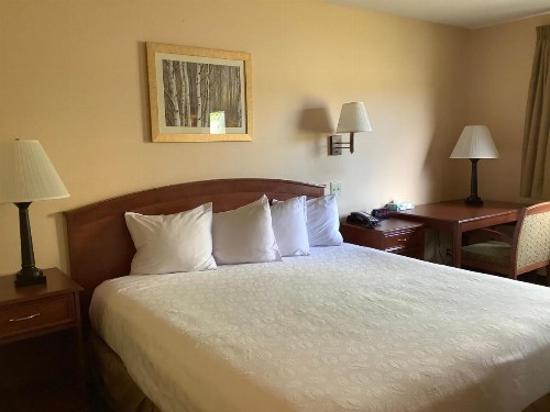 Luxury Inn & Suites - image 2