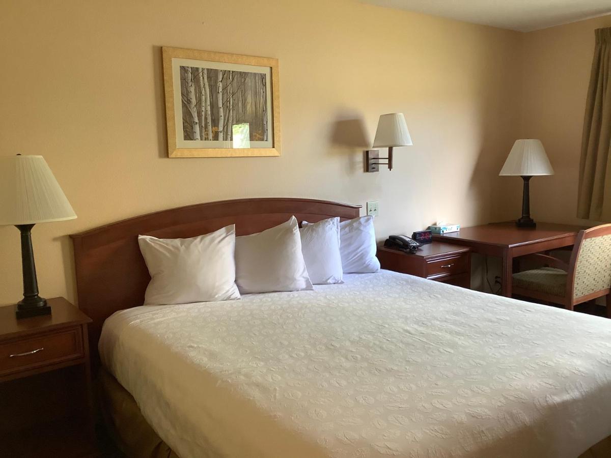Luxury Inn & Suites - image 2