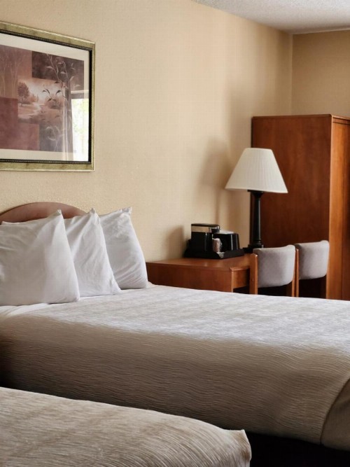 Luxury Inn & Suites - image 3
