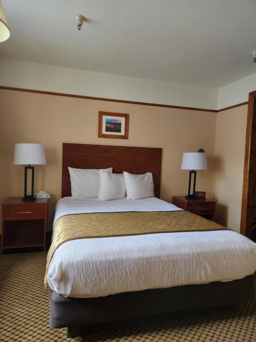 Luxury Inn & Suites - image 32
