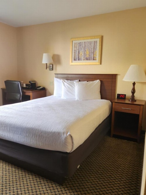 Luxury Inn & Suites - image 40
