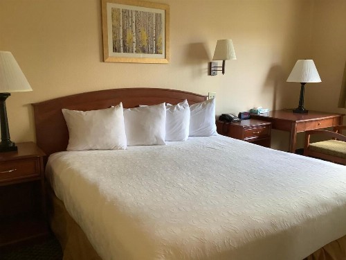 Luxury Inn & Suites - image 45