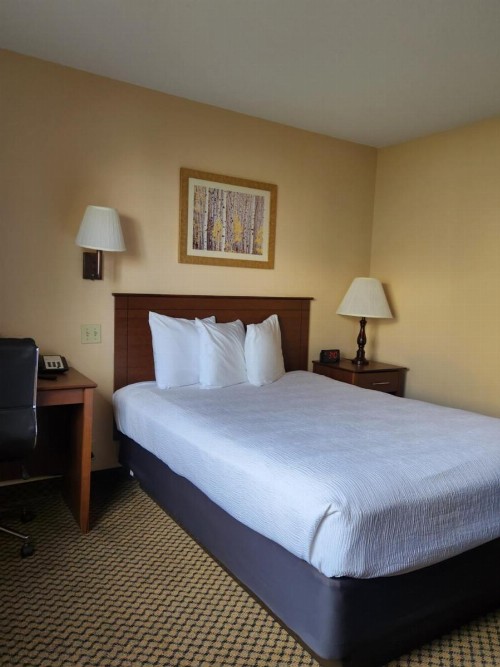 Luxury Inn & Suites - image 6