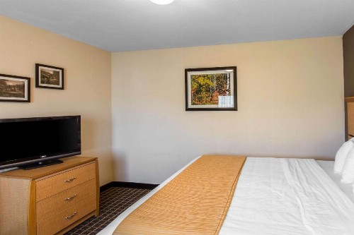 Quality Inn and Suites Summit County - image 3
