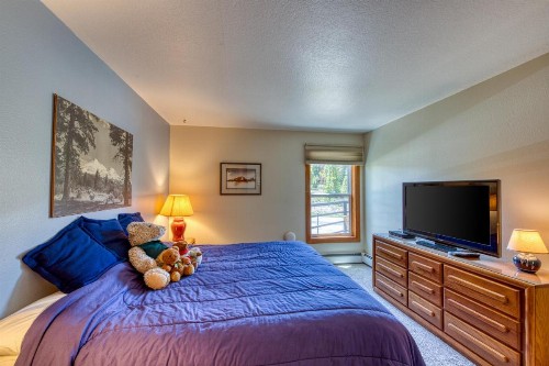 Buffalo Village 306 - image 9