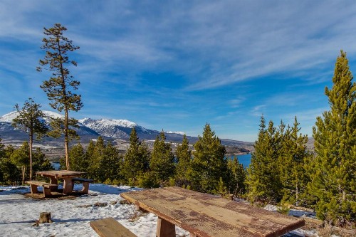 Silverheels Splendor - image 8