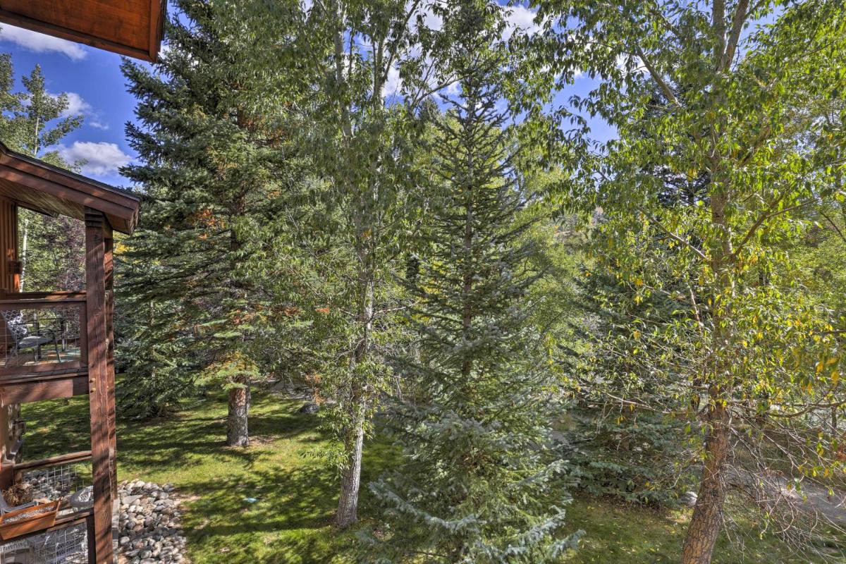 Chic Silverthorne Condo with Balcony on Blue River! - image 6