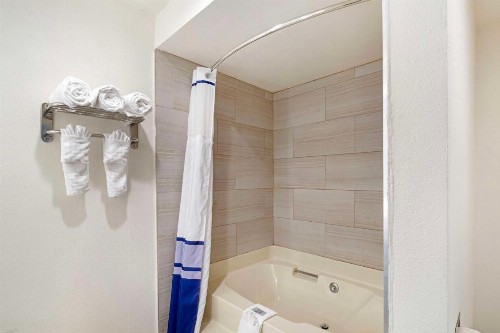 Best Western Posada Royale Hotel & Suites - image 28