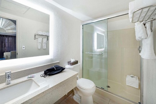 Best Western Posada Royale Hotel & Suites - image 33