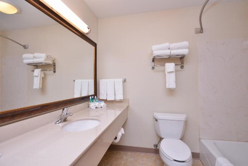 Holiday Inn Express Hotel & Suites Sioux Falls At Empire Mall an IHG Hotel - image 11