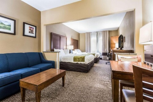 Comfort Suites - Sioux Falls - image 10