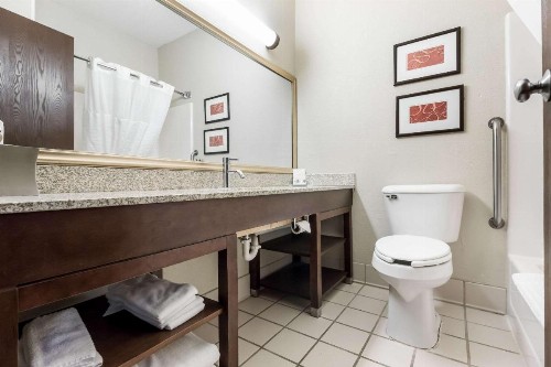 Comfort Suites - Sioux Falls - image 11