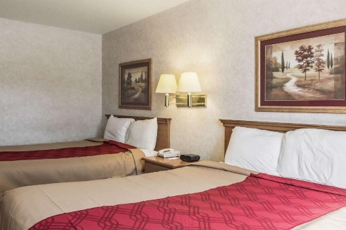 Econo Lodge North Sioux Falls - image 26