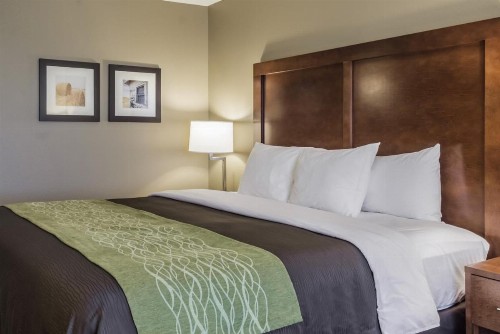 Comfort Inn & Suites Avera Southwest - image 15