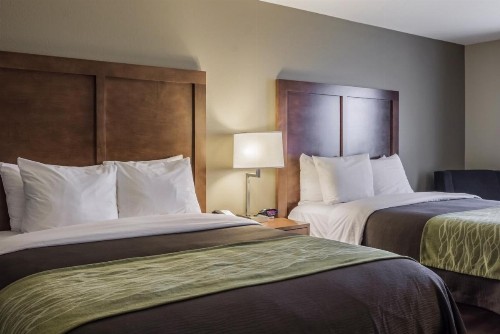 Comfort Inn & Suites Avera Southwest - image 39