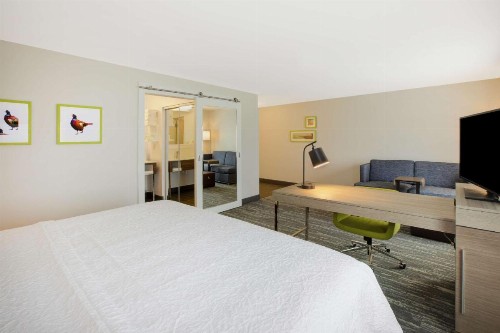 Hampton Inn & Suites By Hilton Southwest Sioux Falls - image 22