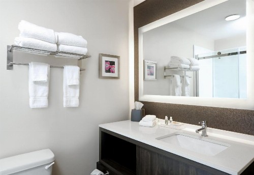 Holiday Inn Hotel & Suites Sioux Falls - Airport an IHG Hotel - image 39