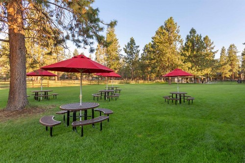 Best Western Ponderosa Lodge - image 21