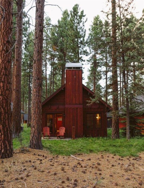 FivePine Lodge - image 28