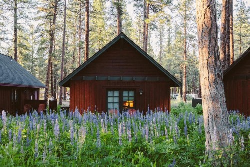 FivePine Lodge - image 3