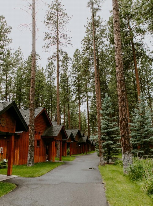 FivePine Lodge - image 35
