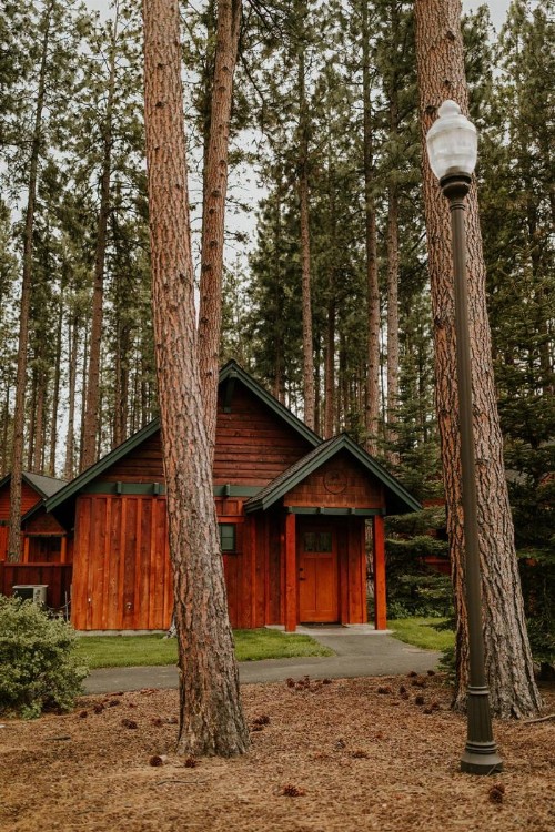 FivePine Lodge - image 39