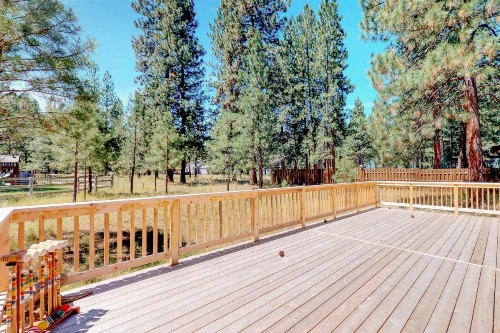 Peters Tollgate Cabin - image 7
