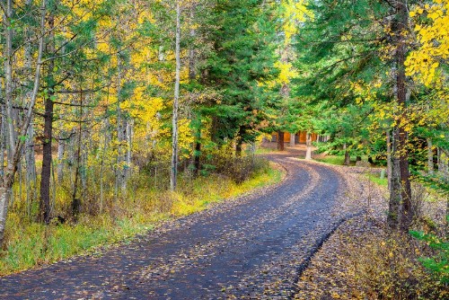 Black Butte Ranch: Hedge Nettle Cabin - image 10