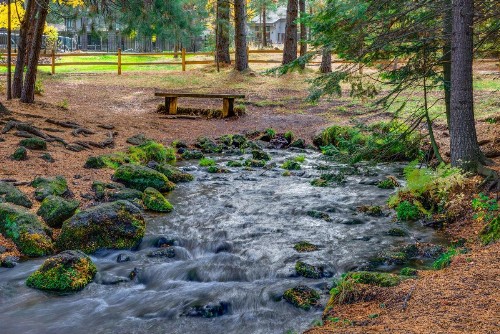 Black Butte Ranch: South Meadow 165 - image 12