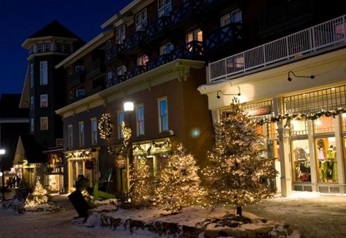 Mountain Lodge - image 8
