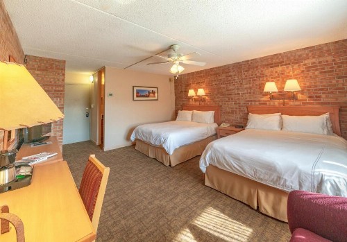 Mountain Chalet Snowmass - image 10
