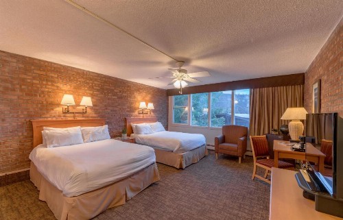 Mountain Chalet Snowmass - image 11