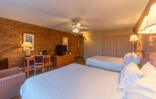Mountain Chalet Snowmass - image 16