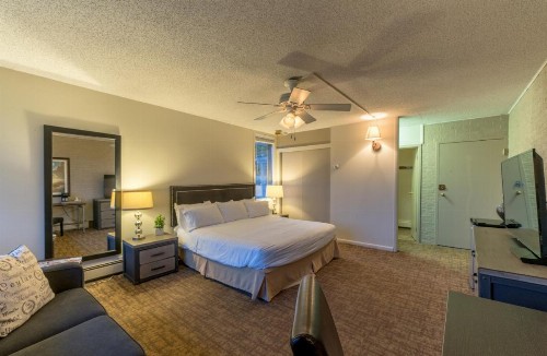 Mountain Chalet Snowmass - image 19