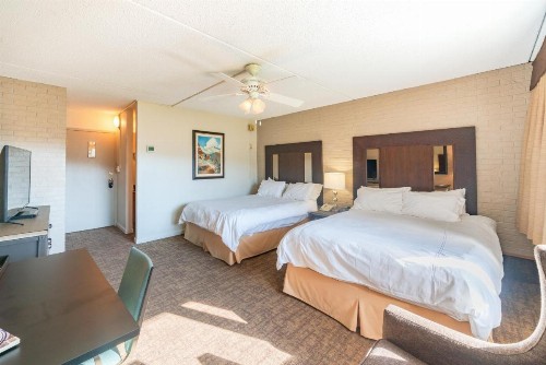 Mountain Chalet Snowmass - image 2