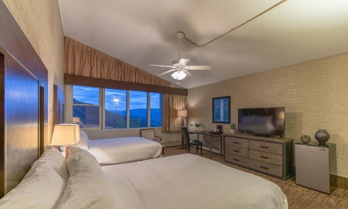 Mountain Chalet Snowmass - image 22