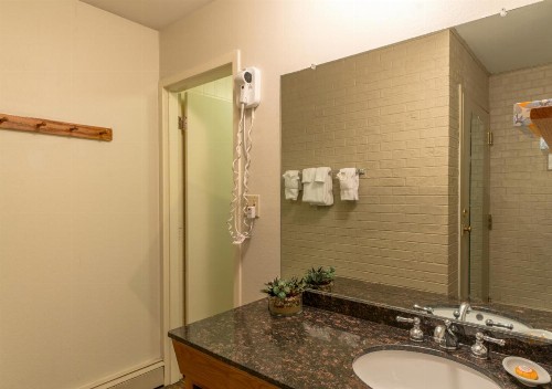 Mountain Chalet Snowmass - image 24