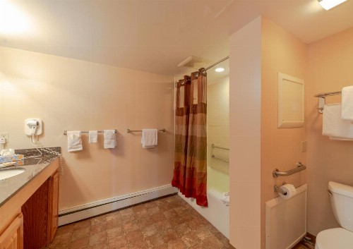 Mountain Chalet Snowmass - image 26