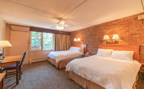 Mountain Chalet Snowmass - image 27