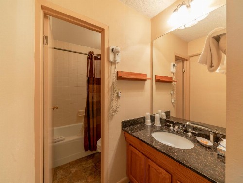 Mountain Chalet Snowmass - image 28