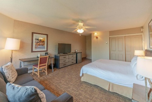 Mountain Chalet Snowmass - image 32